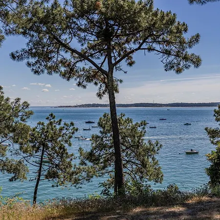 El Palomar - T3 Avec Piscine Et Privée